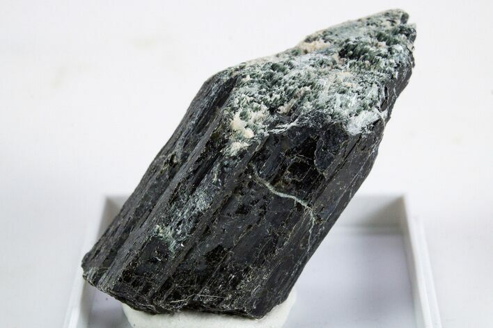 Black-Green Magnesio-Hastingsite Crystal - Norway #345864